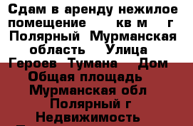 Сдам в аренду нежилое помещение 43,9 кв.м.  (г. Полярный, Мурманская область) › Улица ­ Героев “Тумана“ › Дом ­ 5 › Общая площадь ­ 43 - Мурманская обл., Полярный г. Недвижимость » Помещения аренда   . Мурманская обл.